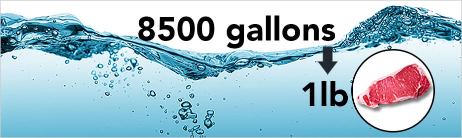It takes 8,500 gallons of water to make 1 pound of meat.