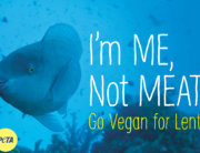 I'm Me Not Meat PETA Vegan Ad Series