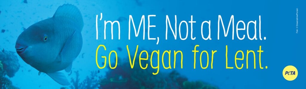 I'm Me Not a Meal Go Vegan for Lent