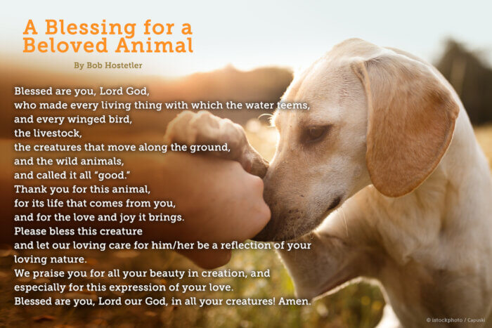 Prayers for animals .br